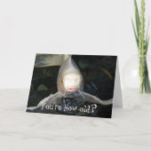 バタフライコイフォトおもしろい誕生日 カード (正面)