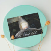 バタフライコイフォトおもしろい誕生日 カード