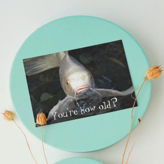 バタフライコイフォトおもしろい誕生日 カード