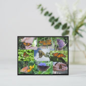 バタフライコラージュ葉書 ポストカード (スタンド正面)