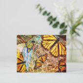バタフライコラージュ ポストカード (スタンド正面)