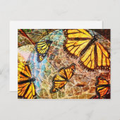 バタフライコラージュ ポストカード (正面/裏面)