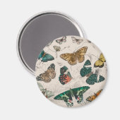 バタフライコレクションアンティークウォーターカラーアートバター マグネット (正面/裏面)