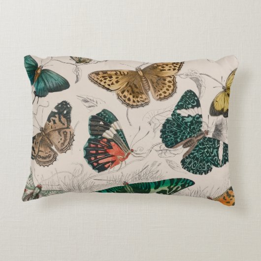 バタフライコレクションアンティーク蝶 アクセントクッション (裏面)
