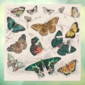 バタフライコレクションアンティーク蝶 ウィンドウサイン (シート3)