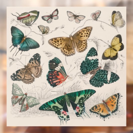 バタフライコレクションアンティーク蝶 ウィンドウサイン (シート2)