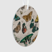 バタフライコレクションアンティーク蝶 オーナメント (正面)