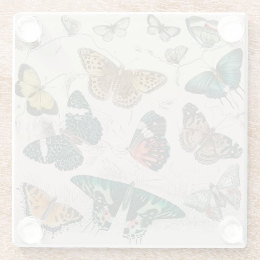 バタフライコレクションアンティーク蝶 ガラスコースター (裏面)