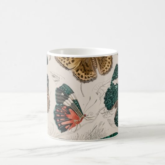 バタフライコレクションアンティーク蝶 コーヒーマグカップ (中央)