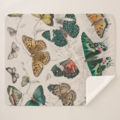 バタフライコレクションアンティーク蝶 シェルパブランケット (正面(横))