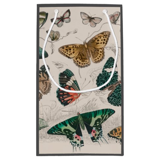 バタフライコレクションアンティーク蝶 スモールペーパーバッグ (裏面)