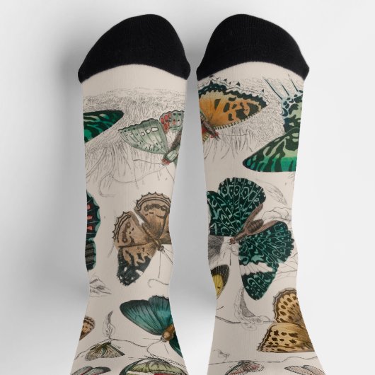 バタフライコレクションアンティーク蝶 ソックス (上部)