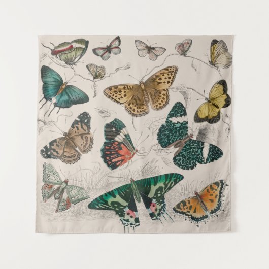 バタフライコレクションアンティーク蝶 タペストリー (正面)