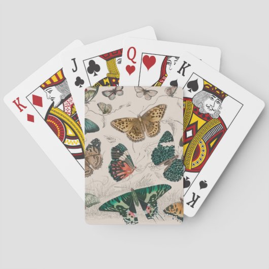 バタフライコレクションアンティーク蝶 トランプ (裏面)