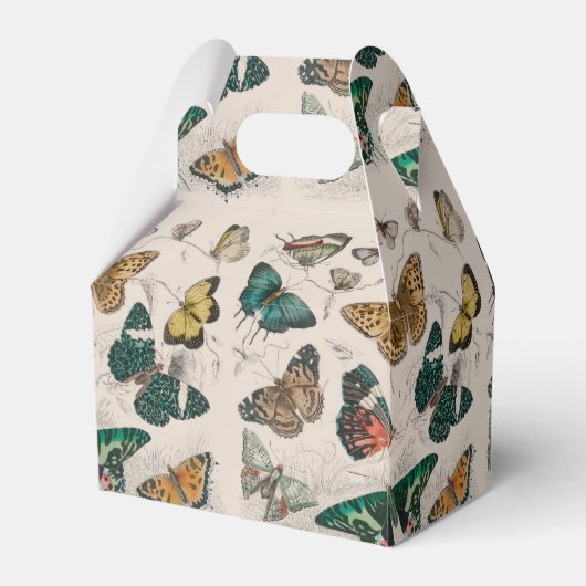 バタフライコレクションアンティーク蝶 フェイバーボックス (裏面サイド)