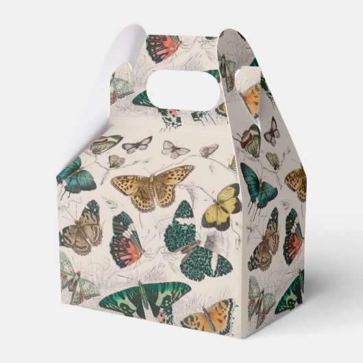 バタフライコレクションアンティーク蝶 フェイバーボックス (正面サイド)