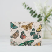 バタフライコレクションアンティーク蝶 ポストカード (スタンド正面)