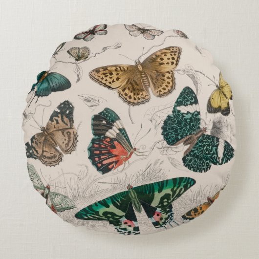 バタフライコレクションアンティーク蝶 ラウンドクッション (正面)