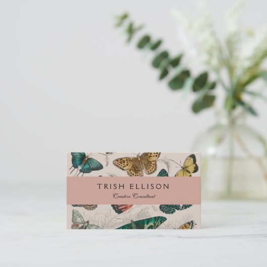 バタフライコレクションアンティーク蝶 名刺 (スタンド正面)