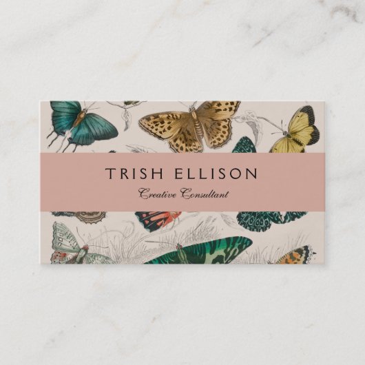 バタフライコレクションアンティーク蝶 名刺 (正面)