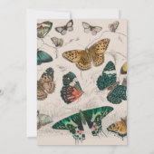 バタフライコレクションアンティーク蝶 招待状 (裏面)