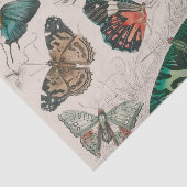 バタフライコレクションアンティーク蝶 薄葉紙 (詳細)