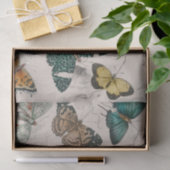 バタフライコレクションアンティーク蝶 薄葉紙 (ギフト)