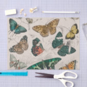 バタフライコレクションアンティーク蝶 薄葉紙 (クラフト)