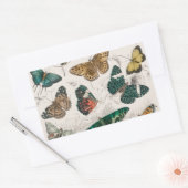 バタフライコレクションアンティーク蝶 長方形シール (封筒)