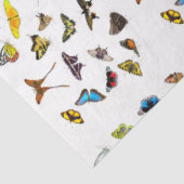 バタフライコレクションデカップージティッシュペーパー 薄葉紙 (詳細)