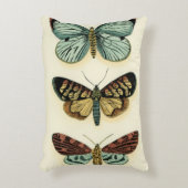 バタフライコレクションバイチャリティラザリス アクセントクッション (正面(垂直))