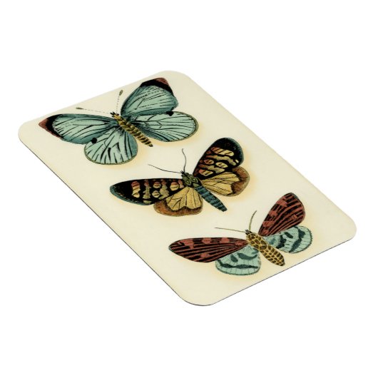 バタフライコレクションバイチャリティラザリス マグネット (右側)