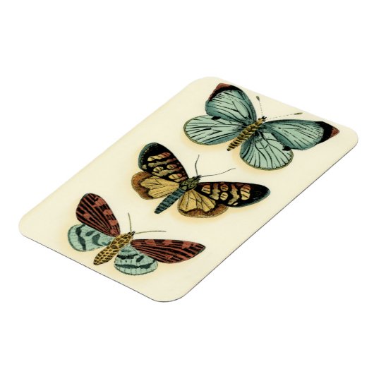 バタフライコレクションバイチャリティラザリス マグネット (左側)