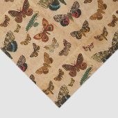 バタフライコレクション ヴィンテージ ステンドペーパーパターン 薄葉紙 (詳細)