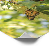 バタフライコンベンション ポスター (角)