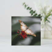 バタフライサンキュー サンキューカード (スタンド正面)