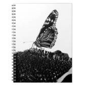 バタフライシャイ黒 ノートブック (正面)