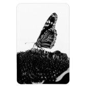バタフライシャイ黒 マグネット (縦)
