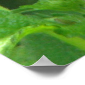 バタフライシリーズ ポスター (角)