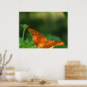 バタフライシリーズ ポスター (キッチン)