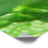 バタフライシリーズ ポスター (角)