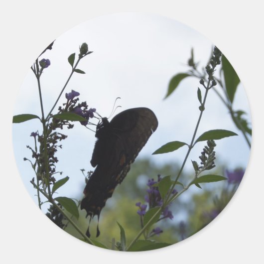 バタフライシルエット ラウンドシール (正面)