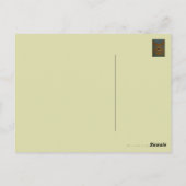 バタフライシルククロス～はがき/招待状 ポストカード (裏面)