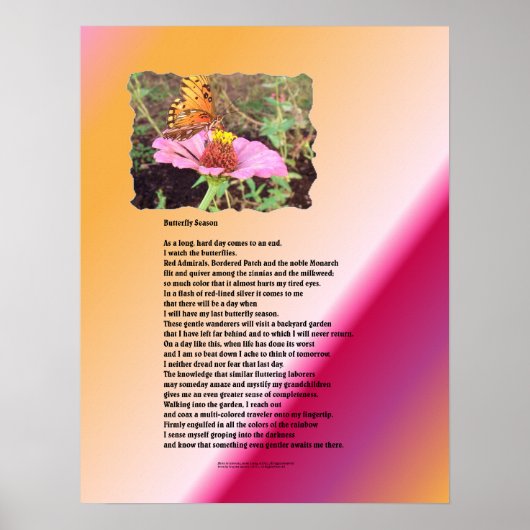 バタフライシーズン – 砂漠 ポスター (正面)