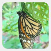 バタフライシール スクエアシール (正面)