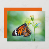 バタフライスクラップブックの背景紙 (正面/裏面)