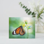 バタフライスクラップブックの背景紙 (スタンド正面)