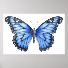 バタフライスケッチ ポスター