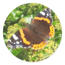 バタフライステッカー