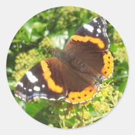 バタフライステッカー ラウンドシール